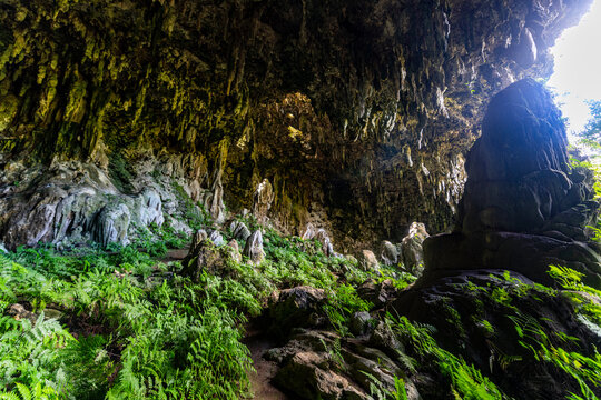 A�eo Cave in Rurutu Austral Islands French Polynesia with lush ferns
