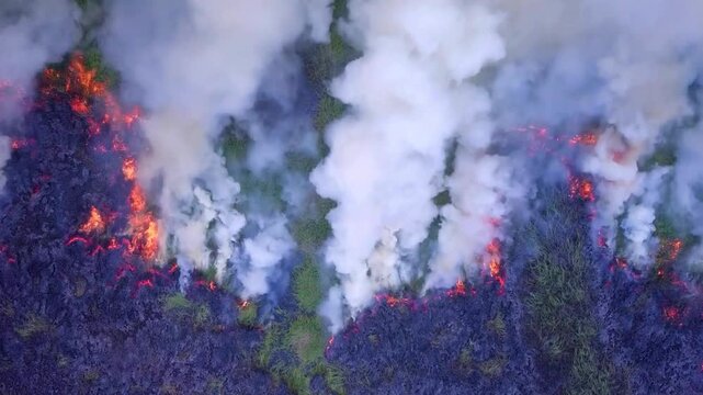 Aerial view of active forest wildfire with flames and smoke spreading through Forest, environmental disaster scene for climate crisis, emergency, and ecological destruction concepts. 