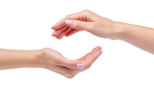 Isolated female hands cupped together demonstrating protection, care, or presenting