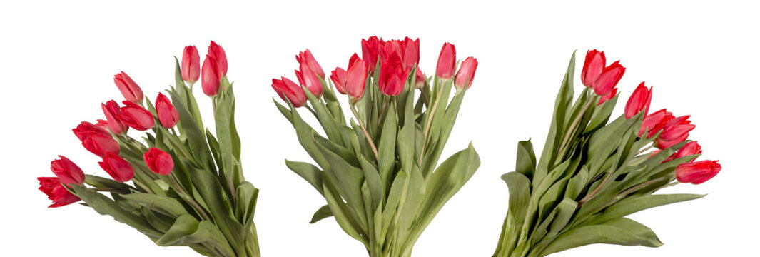 Collection of tulip flower bouquets arranged with green stems and leaves on grey background. Composition highlighting multiple bunch variation and spring mood clearly. Floral concept for
