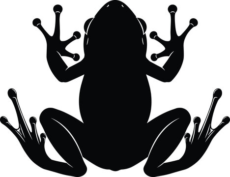 Black silhouette of a tree frog from a top view perspective isolated on a white background for nature logo design