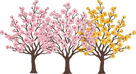 Obraz premium Blooming Cherry Blossom and Yellow Flower Tree Set Illustration for Spring Garden Landscape, Floral Nature Design, and Botanical Seasonal Decoration