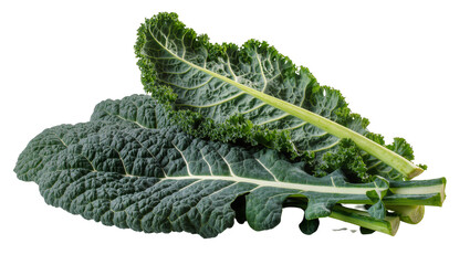 Isolated fresh green curly kale and dinosaur kale leaves, healthy organic raw vegetable food ingredient © Ryan