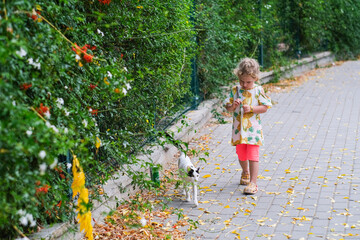 Naklejka premium Turkiye, Antalya 16.03.2026. Child playing with cat on sunny autumn day. Happy kid walking on street with pet animal. Childhood lifestyle concept for family.