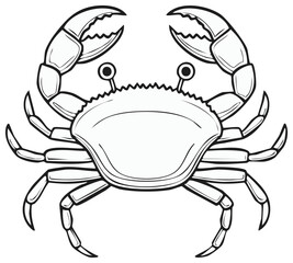 Fototapeta premium Detailed outline illustration of a large marine crustacean with prominent claws a common sea creature