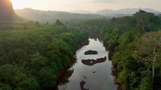 Aerial view of winding river flows through the lush green jungle, creating a stunning contrast with the surrounding landscape, Khao Sok, Surat Thani, Thailand.