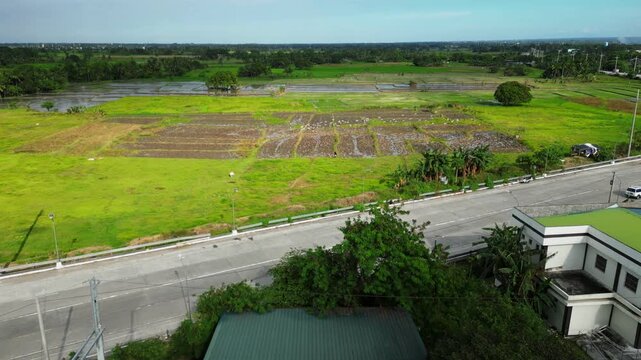Wide daytime view of a provincial road crossing rice fields with small houses and green landscapes in Muzon Naic Cavite Philippines.