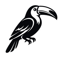 Fototapeta premium Toucan bird with a large beak, standing in black and white illustration style. Representing tropical wildlife and exotic nature