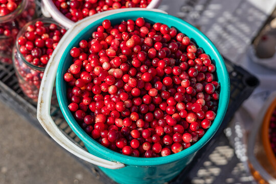 Red fresh healthy cranberries in a street food market ready to sell and eat, close up