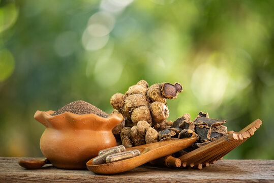 Black galingale or Kaempferia parviflora rhizomes ,powder ,dried slices  and powder in capsules on natural background.
