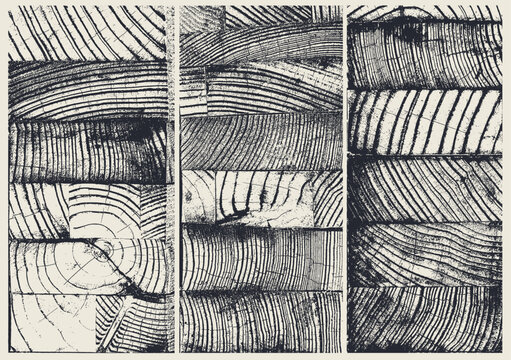 Abstract geometric composition of rectangular blocks with unique curved line patterns. Modern vector background with fingerprint or wood ring style textures. Minimal artistic line pattern design.