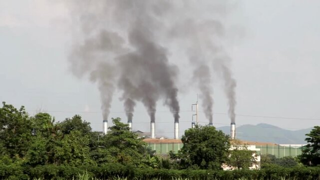 Air pollution Car emissions, chemicals from factories, dust, pollen in cities