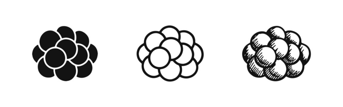 Morula Cell Cluster Icon Set - Early Embryonic Development Stage in Solid, Outline, and Hand-Drawn