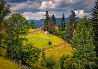 Naklejka premium Attractive summer view of Carpathian mountains. Captivating morning scene of rolling hills with in Stebny village, Transcarpathians, Ukraine, Europe. Beauty of countryside concept background.