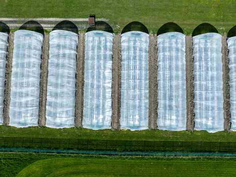 Aerial view of symmetrical white greenhouses contrasting with the stark green fields, creating a mesmerizing pattern of agriculture, Benningbroek, Noord-Holland, Netherlands.