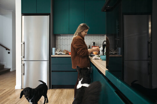 A grown woman is doing housework in the kitchen. Two dogs are at her feet, begging for food. A green interior.