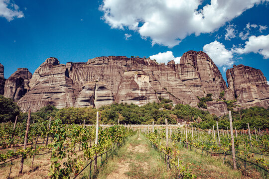 View of ancient, towering rock formations rise dramatically behind a vibrant vineyard under a bright blue sky dotted with fluffy clouds, Kalabaka, Trikala, Greece.