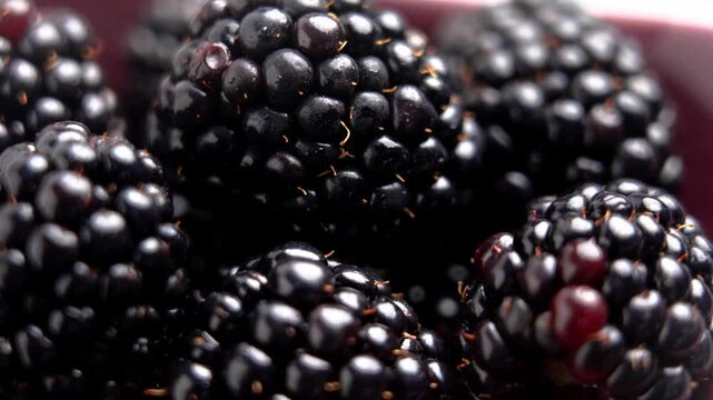 Ripe juicy blackberries. Macro shot. Rotation