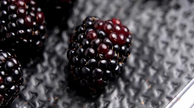 Close up of ripe blackberry with glossy dark drupelets on textured plastic tray. Fresh juicy berry. Rotation