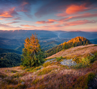 Majestic autumn sunset on Darvaika Peak. Wonderful evening scene of Carpathian mountains, Ukraine, Europe. Beauty of nature concept background.
