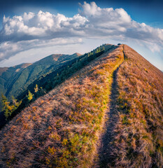Trekking to the top of Darvaika Peak. Incredible autumn scene of Carpathian mountains, Ukraine, Europe. Beauty of nature concept background. Wide angle picture.
