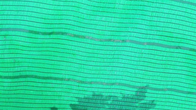 The light blue shade net was fluttering in the wind, and the shadows of leaves were visible on the ground beneath it.
