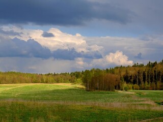 Wide green glade surrounded by a lush forest under a soft blue sky. Quiet summer day in the nature. © puchan
