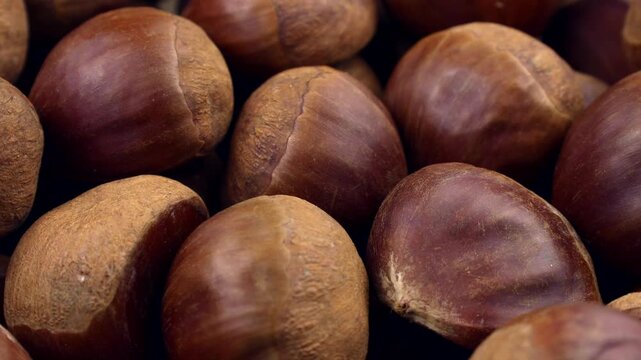 Brown sweet edible chestnuts circle rotation close up