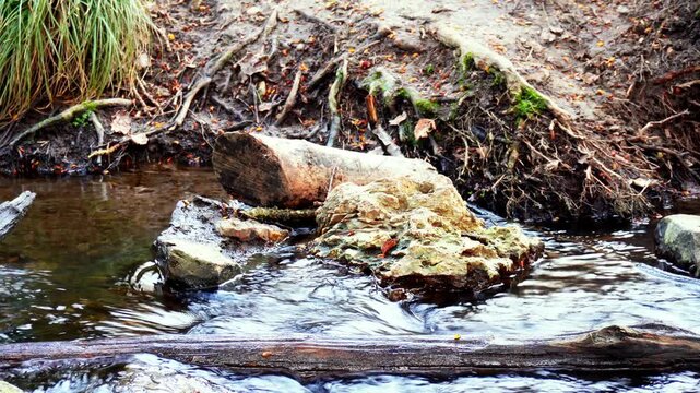 Son d'un ruisseau avec une pierre et un bout de bois (&Eacute;tangs de La Mini&egrave;re)