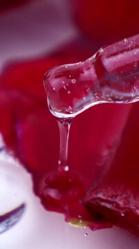 Cosmetic gel serum drops from the droplet on red rose petals background, vertical video format