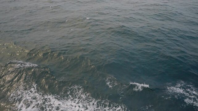 Looking down from expedition ship deck onto grey Southern Ocean with seabirds skimming waves alongside churning white wake as vessel moves through polar waters