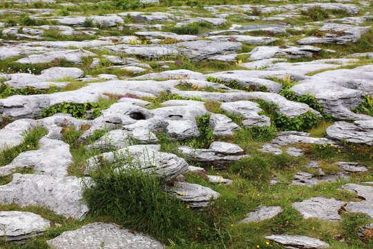 The Burren peculiar rock formations in County Clare, Ireland. Karst limestone pavement with grikes and clints.
