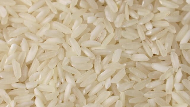 Uncooked white rice grains circle rotation close up