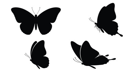 Four butterflies in various flight poses depicted as a dark silhouette © Jesmin