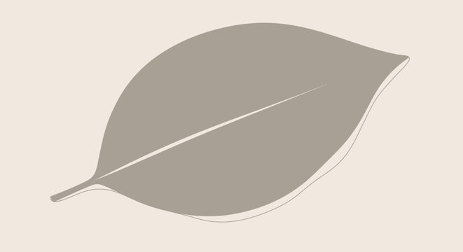 Minimalist beige background with a single grey leaf silhouette, elegant design
