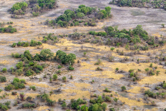 An aerial shot of a rather dry savanna in Okavango delta during an evening near Maun, Botswana