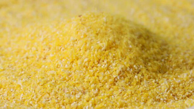 Yellow corn grain flour for polenta porridge falling down close up