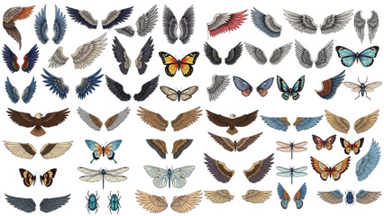 Colorful vector design collection featuring birds, insects, and animals with detailed wings, butterflies, moths, and natural wildlife illustration elements set. © prarthana