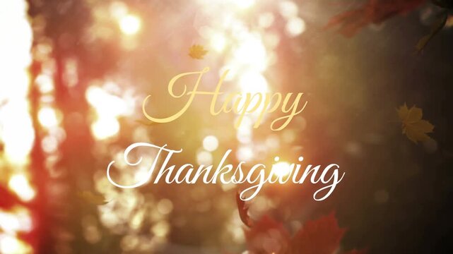 Sunlight filtering through blurred trunks fading in Happy Thanksgiving greeting, leaves drifting