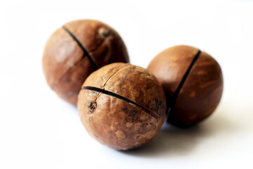 Macadamia nut very close up on white background.
