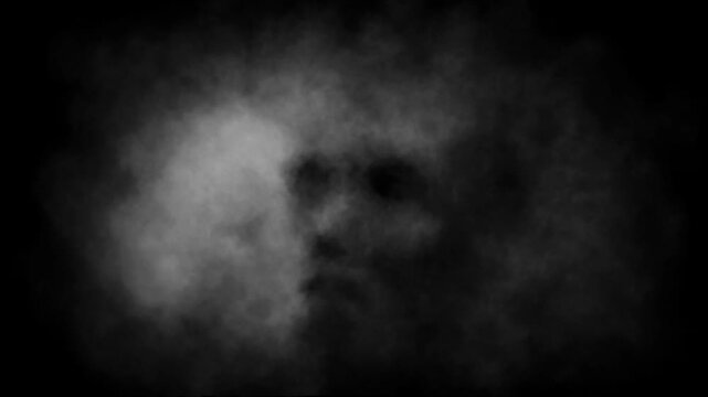 Dark 2D animation in horror fantasy genre. Spooky character head animated backdrop. Scary thing silhouette in fog. Abstract Vj looped video clip. Halloween ghost short film. Spooky visions of hell.