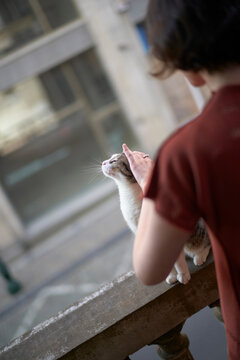 Woman gently petting a cat on a balcony edge against an urban backdrop. Brussels, Belgium