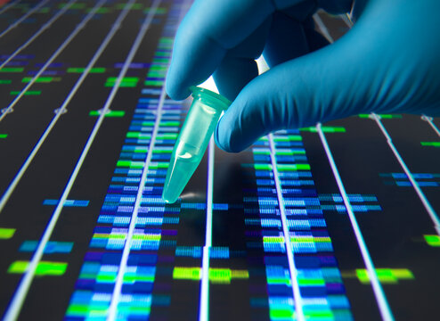 Scientist holding a sample over a DNA profile.