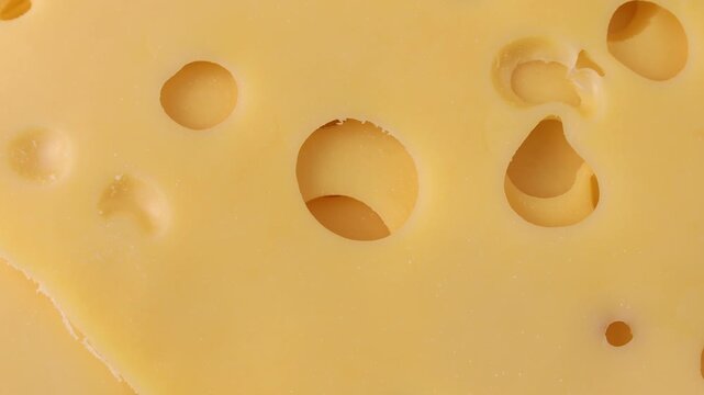 Yellow maasdam cheese slices with large holes circle rotation close up