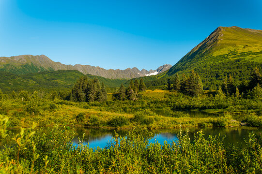 Mountainous landscape with lush greenery and a small lake under a clear blue sky. South Central Alaska, USA