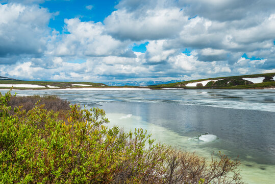Pristine lake with ice patches, surrounded by lush greenery and mountains under a cloudy sky. Alaska, USA