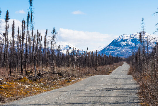 A gravel road through a barren landscape with snow-covered mountains in the background. Kenai Peninsula, Alaska., USA