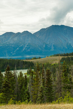 Majestic mountains overlooking a dense forest under a cloudy sky Yukon Territory, Canada