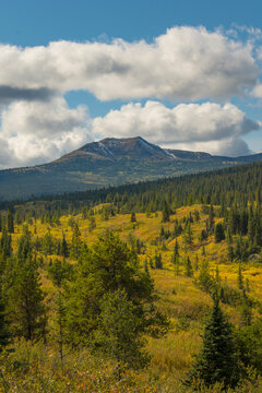Mountain landscape with a forested valley under a blue sky with fluffy clouds. Yukon Territory, Canada