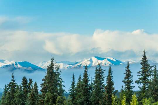 Snow-capped mountains with pine trees under a clear blue sky and fluffy clouds. Alaska, USA